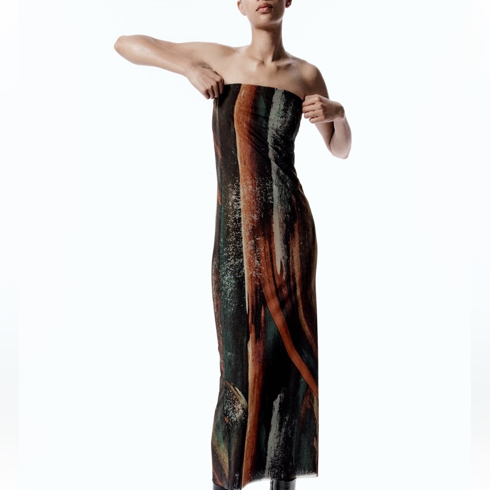 NWOT Zara Tulle Strapless Dress